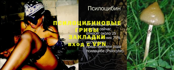 2c-b Абинск