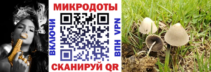 цены наркотик  Дятьково  Галлюциногенные грибы мицелий 